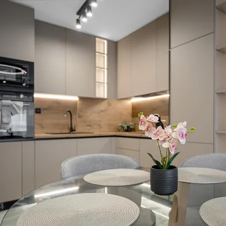 Apartment Brand New Luxury 1br In W/ Terrace *